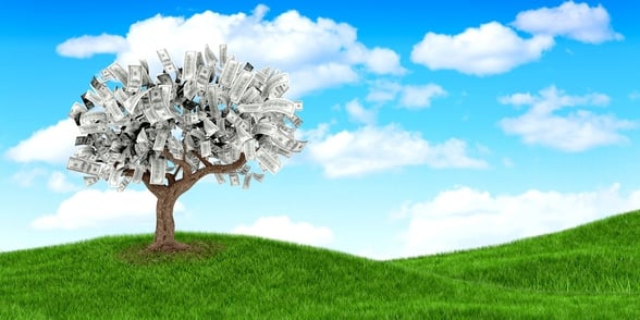 3D money growing on a tree on beautiful landscape -610307-edited.jpeg